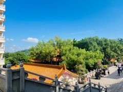 -深圳仙湖植物园