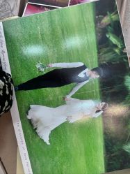 -古摄影婚纱(湛江霞山步行街店)