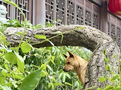 -龙华寺