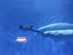 -多彩贵州城极地海洋世界