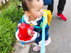 -前小桔亲子创意农场·草莓采摘·露营烧烤