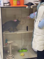 -苗医生草本科技祛痘