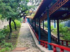-高尔山公园
