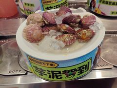 -龍歌自助小火锅(李沧顺和汇店)