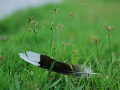 -白塘生态植物园