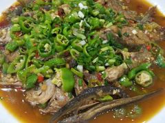 -全乐鱼馆·淳牌有机鱼直营店