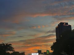 -新虹桥中心花园