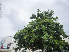 -三亚西岛海洋文化旅游区