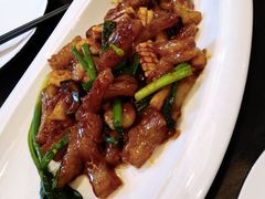 海鲜烧蹄筋-蓝港海鲜厨房(金水路店)