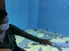 -华夏文旅西安度假区