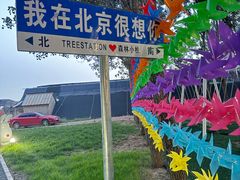 -森林小栈TreeStation露营基地
