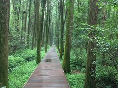 -同里国家湿地公园
