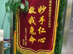 -雨林宠物医院 非犬猫异宠专科