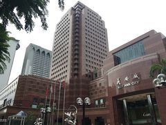 -爱雍·乌节