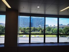 -首都医科大学附属北京天坛医院