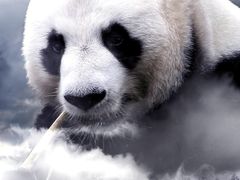 -万达影城(浦西万达广场激光IMAX店)