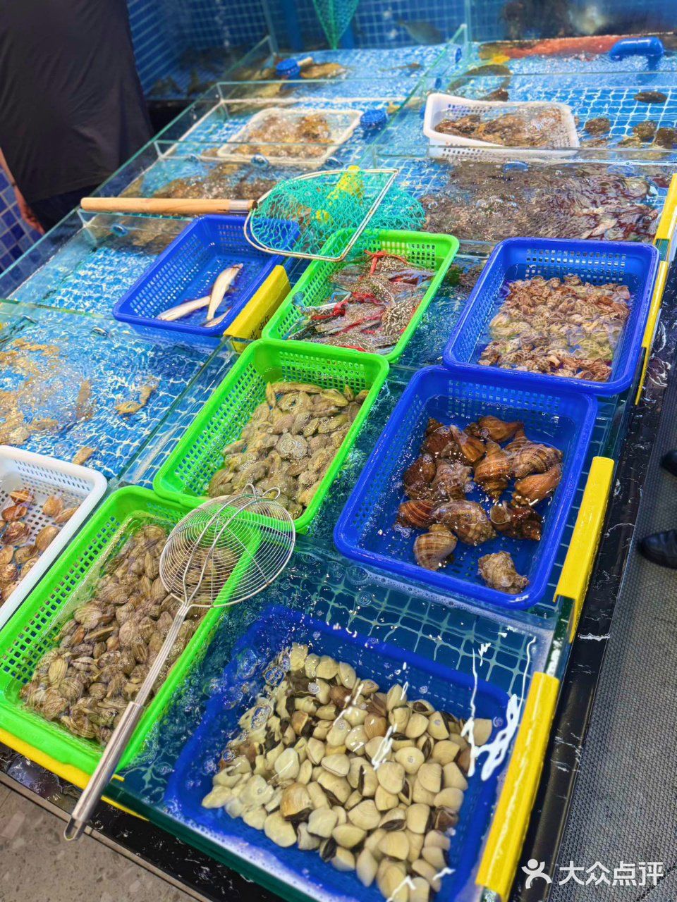 珠海拱北新晋海鲜饭堂！海鲜脑袋快~冲~冲~冲