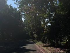 -福建鲤鱼洲酒店