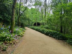 -西湖风景区-江洋畈生态公园