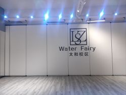 -水灵子舞蹈全国连锁