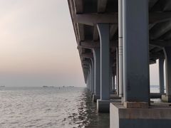 -宝安西湾红树林湿地公园