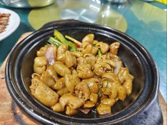 -石岐乳鸽村(桥观坊南四巷店)