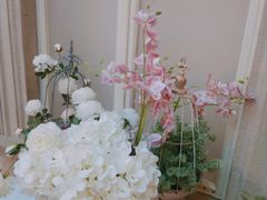 -花之城