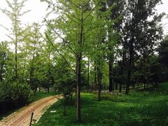 -北京宽沟会议中心