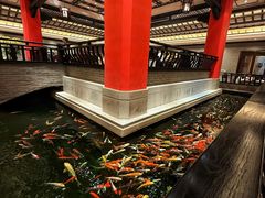 -龙悦湾酒家·八阵鱼生·渔人码头店