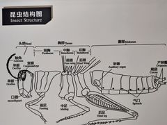 -房山世界地质公园博物馆