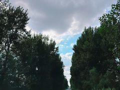-大青沟风景区