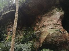 -赤水丹霞旅游区·佛光岩