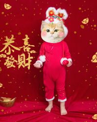 -蜜阁孕味亲子摄影(赛高店)