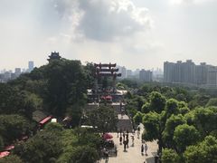 -黄鹤楼公园(黄鹤楼)