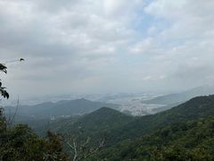 -梧桐山风景名胜区