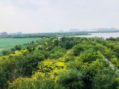 -天津东丽湖风景区