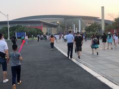 -南京奥林匹克体育中心-体育馆