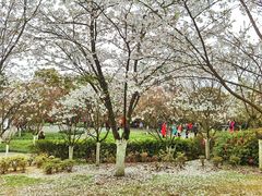 -南山植物园