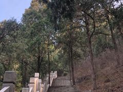 -千佛山风景名胜区