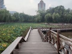-迎泽公园