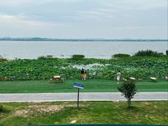 -七的湖·晚芳亭·阳澄湖农家菜·大闸蟹(莲花岛店)