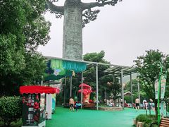 -苏州乐园森林水世界