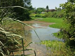 -桤木河湿地公园