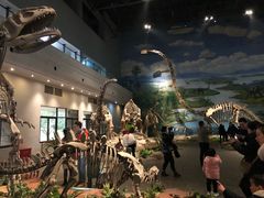 -自贡恐龙博物馆