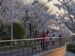 -幕燕滨江·燕子矶公园