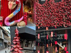 -溪岸路花鸟市场