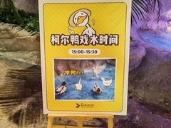 -杭州开元森泊度假乐园