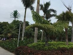 -鼓浪屿内厝澳码头(轮渡站)
