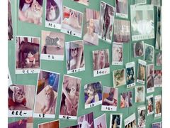 -lincat·猫舍(广州店)