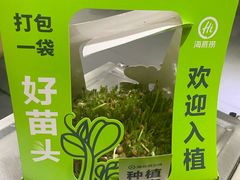-海底捞火锅(吾悦国际广场店)